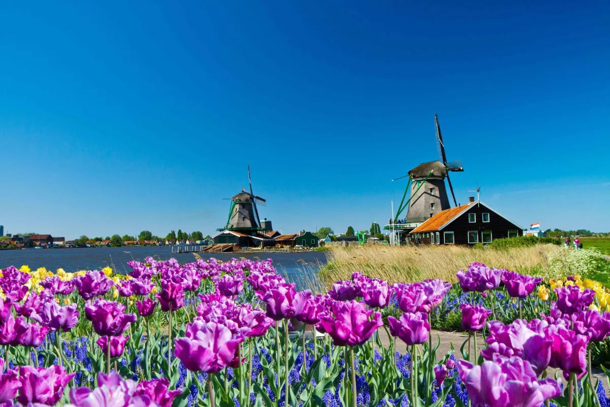 The Netherlands