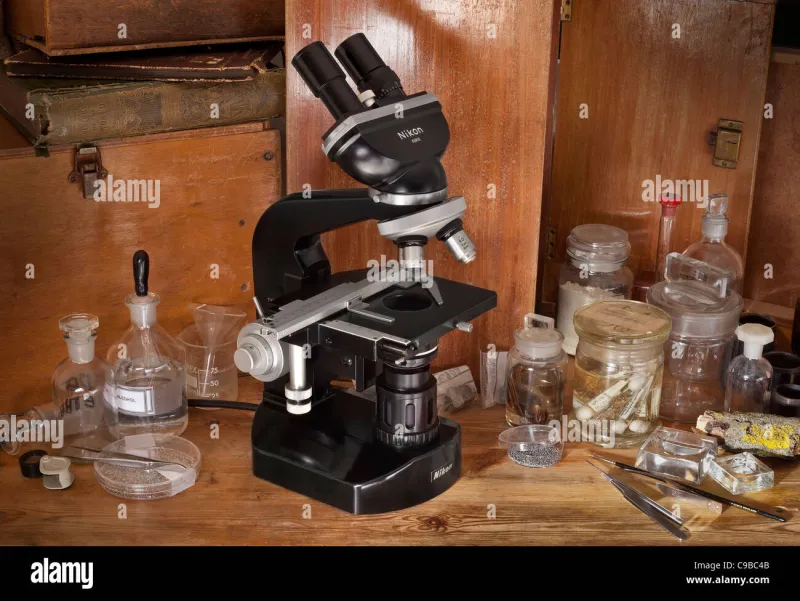 The Mop That Almost Ended Modern Medicine: How a Lab's Cleaning Schedule Nearly Killed Penicillin Before It Started