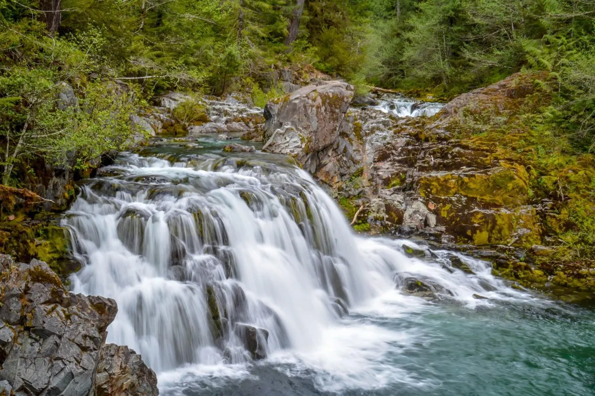 Willamette National Forest